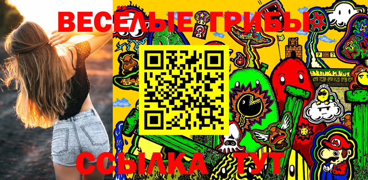 Псилоцибиновые грибы GOLDEN TEACHER Гай