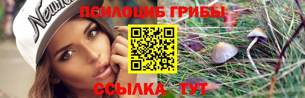 Гай  Галлюциногенные грибы ЛСД  Вход с VPN 